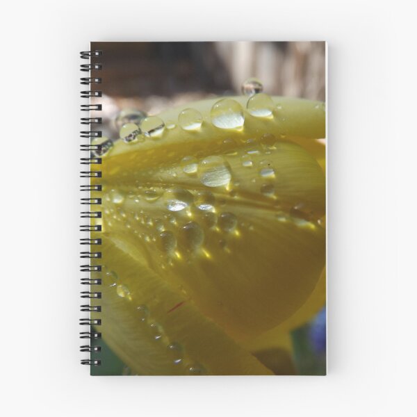 Artikelvorschau, Wassertropfen auf einer Tulpe entworfen und verkauft von lornakay.