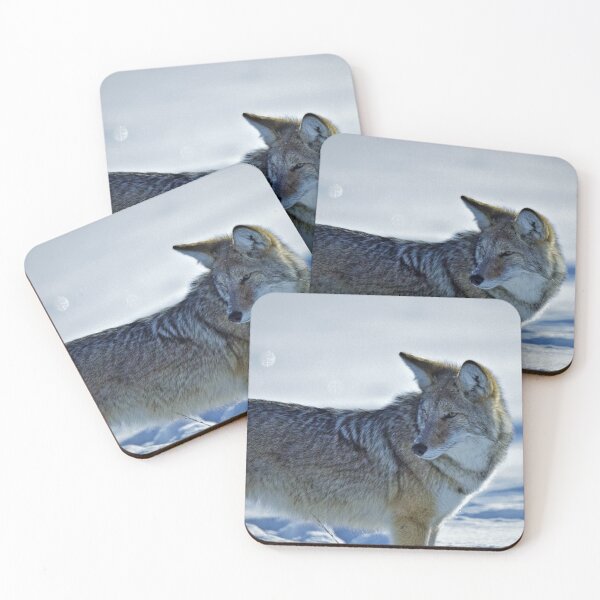 Item preview, Winter Coyote in snow designed and sold by Gilby-Designs.