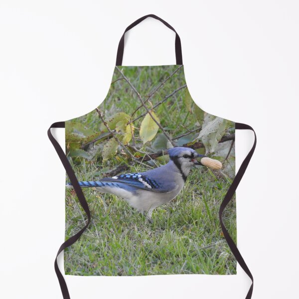 Item preview, Blue jay, wildlife photography, wild birds designed and sold by Sandra O'Toole.