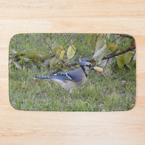 Item preview, Blue jay, wildlife photography, wild birds designed and sold by Sandra O'Toole.