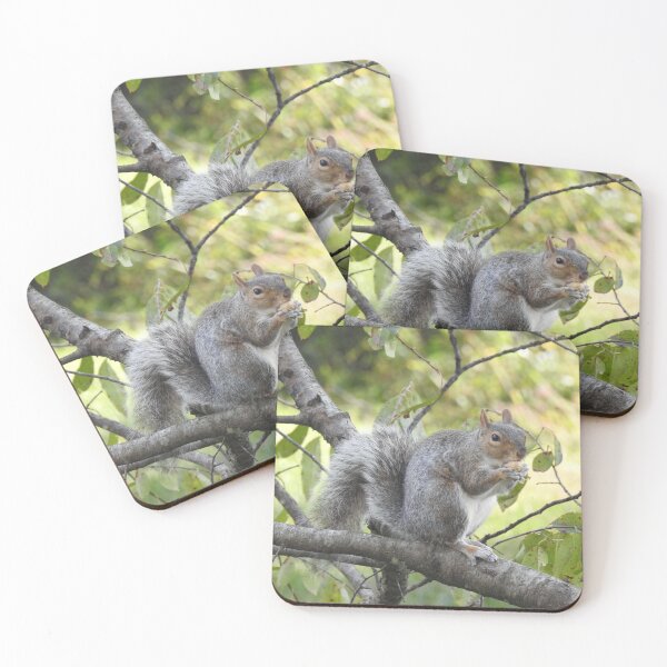 Item preview, Eastern Gray Squirrel, Wildlife Photography, Wild Animals designed and sold by Sandra O'Toole.