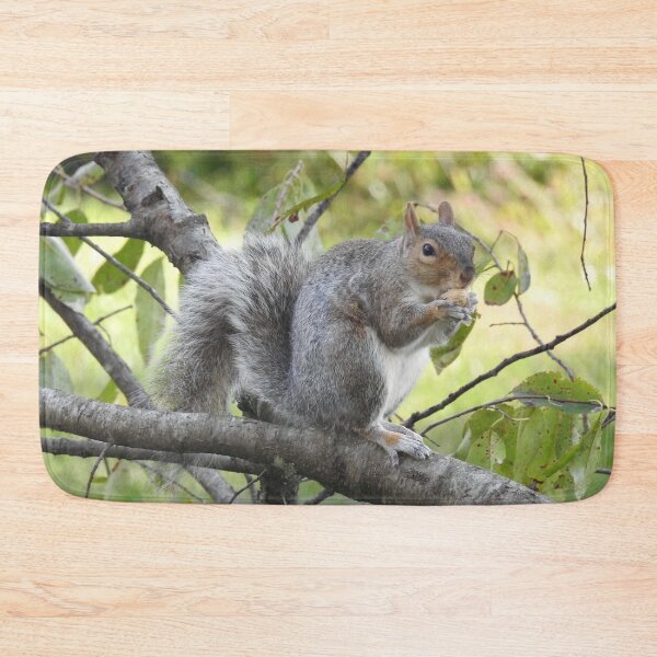 Item preview, Eastern Gray Squirrel, Wildlife Photography, Wild Animals designed and sold by Sandra O'Toole.