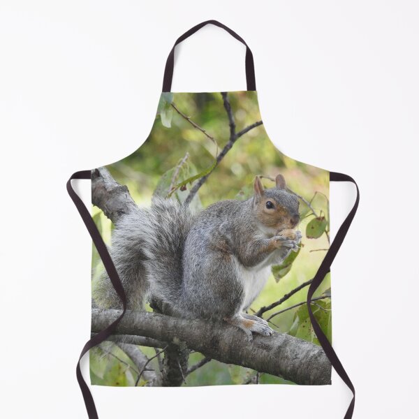 Item preview, Eastern Gray Squirrel, Wildlife Photography, Wild Animals designed and sold by Sandra O'Toole.