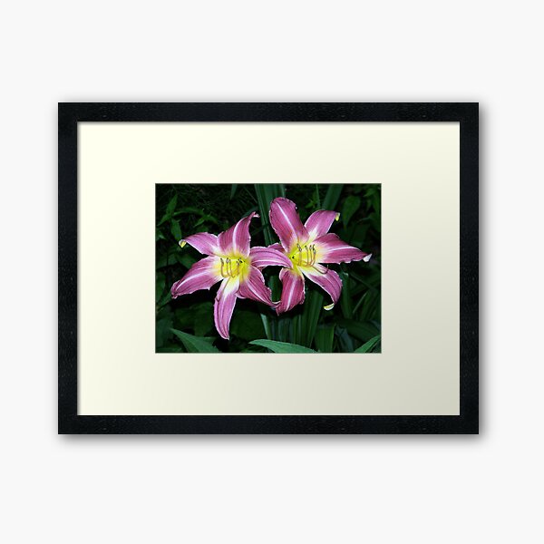 Twins Framed Art Print