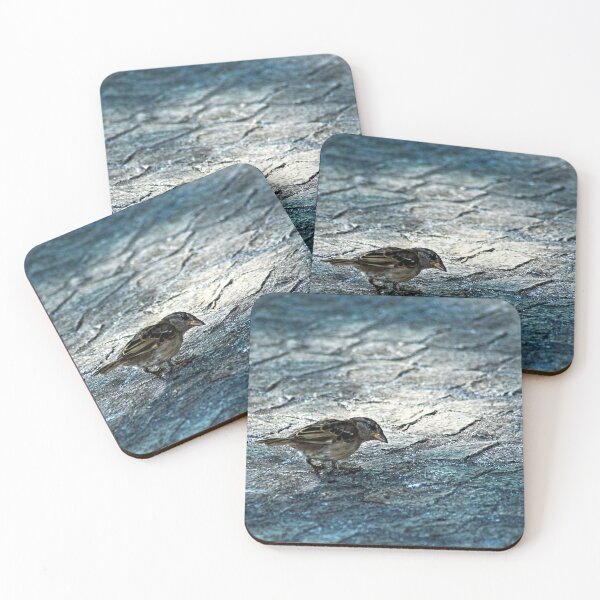 Item preview, Sparrow Bird Closeup Urban Wildlife 2 designed and sold by Anna Lemos.