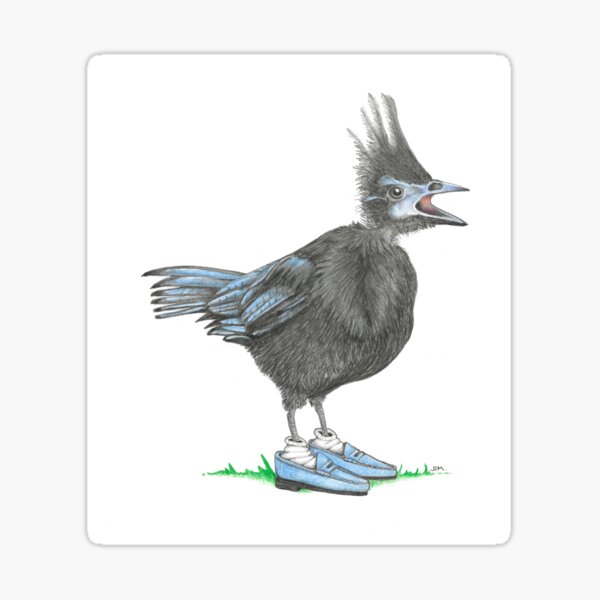 Item preview, Juvenile Steller’s Jay in Suede Loafers designed and sold by JimsBirds.