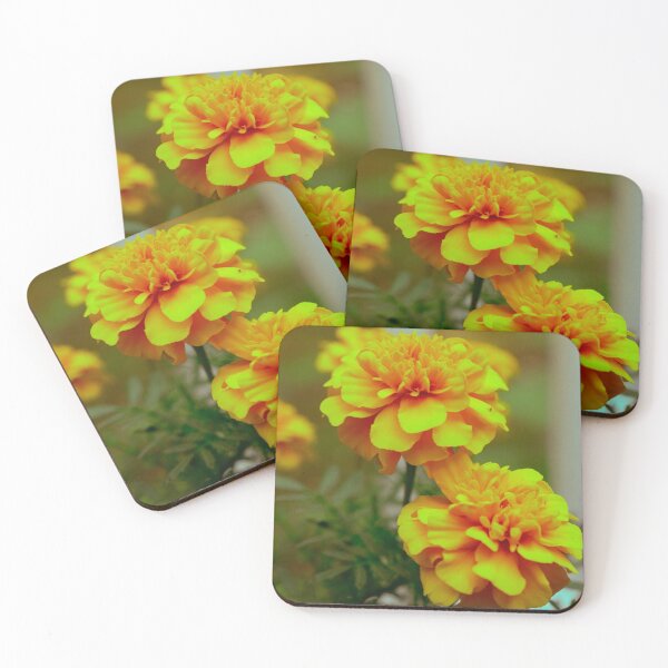 Item preview, Marigolds designed and sold by MaxMediaPhoto.