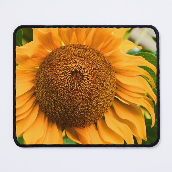 Item preview, Giant Sunflower Perfection... designed and sold by Poete100.