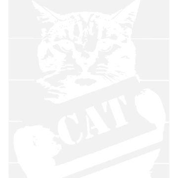 Artwork thumbnail, Bad Cat by coderman