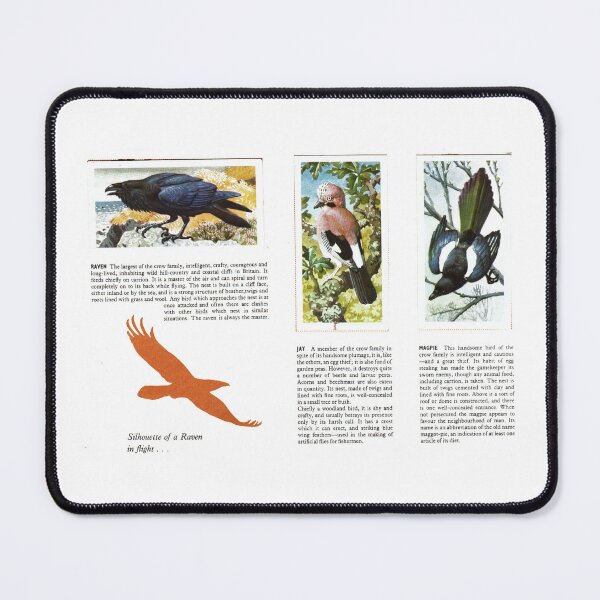 Item preview, Bird Portraits: Raven, Jay, Magpie designed and sold by iamKAL.