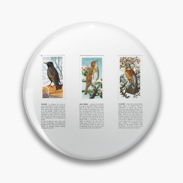 Item preview, Bird Portraits: Starling, Song Thrush, Fieldfare designed and sold by iamKAL.