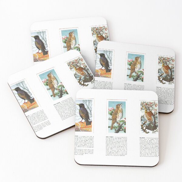 Item preview, Bird Portraits: Starling, Song Thrush, Fieldfare designed and sold by iamKAL.