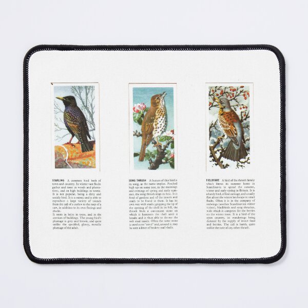 Item preview, Bird Portraits: Starling, Song Thrush, Fieldfare designed and sold by iamKAL.