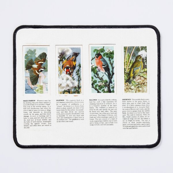 Item preview, Bird Portraits: Sparrow & Finch designed and sold by iamKAL.
