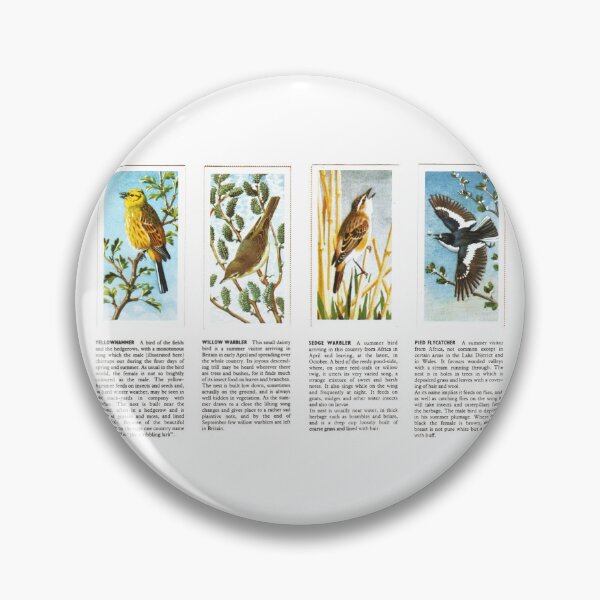 Item preview, Bird Portraits: Yellowhammer, Warblers, Flycatcher designed and sold by iamKAL.