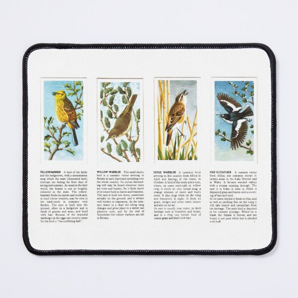 Item preview, Bird Portraits: Yellowhammer, Warblers, Flycatcher designed and sold by iamKAL.