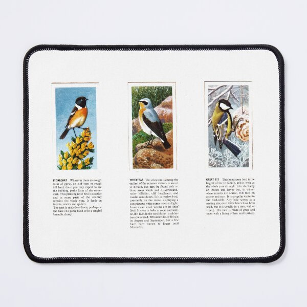 Item preview, Bird Portraits: Stonechat, Wheatear, Great Tit designed and sold by iamKAL.