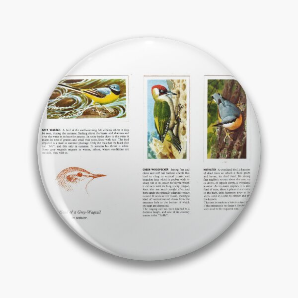 Item preview, Bird Portraits: Grey Wagtail, Wood Pecker, Nuthatch designed and sold by iamKAL.