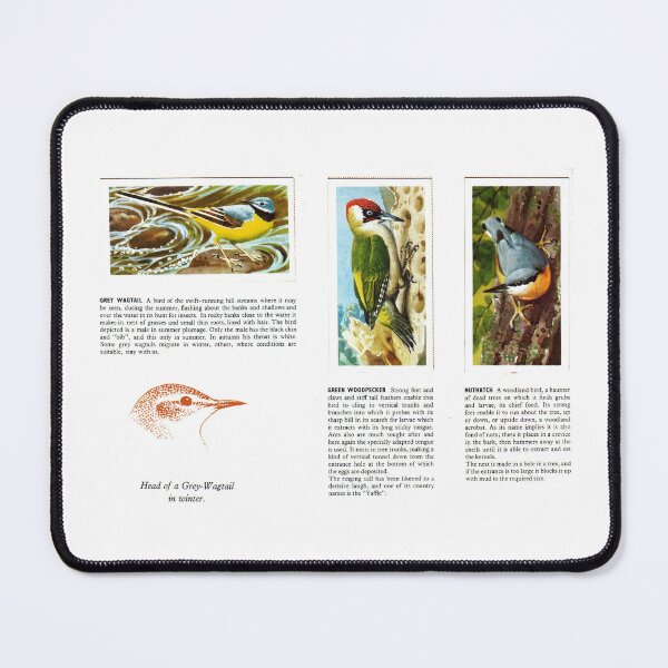 Item preview, Bird Portraits: Grey Wagtail, Wood Pecker, Nuthatch designed and sold by iamKAL.