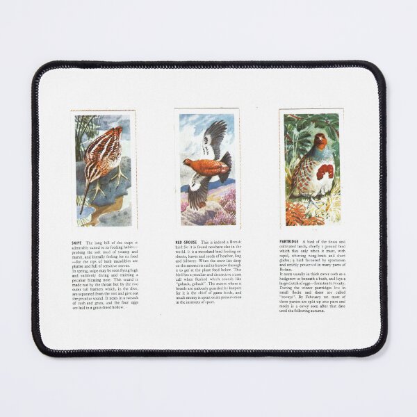 Item preview, Bird Portraits: Snipe, Red Grouse, Partridge designed and sold by iamKAL.