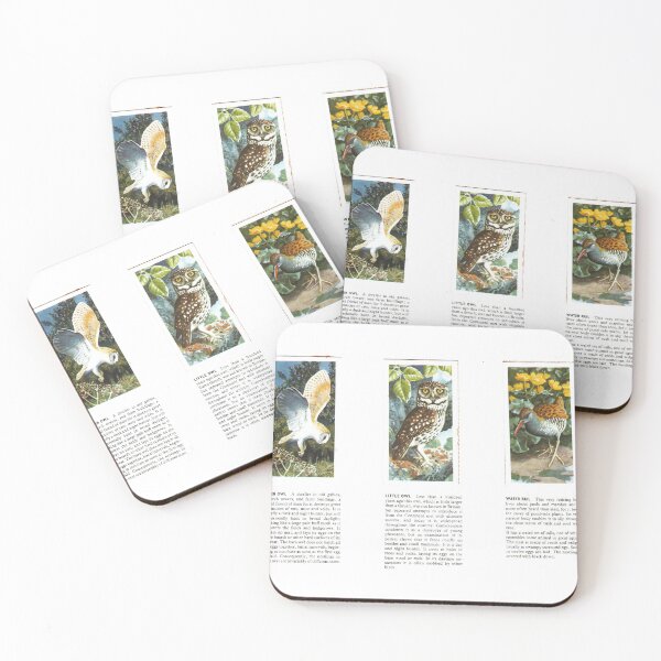 Item preview, Bird Portraits: Owls, Water Rail designed and sold by iamKAL.