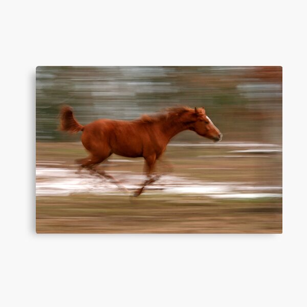 Speed Canvas Print