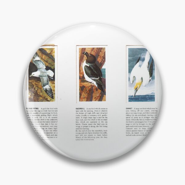 Item preview, Bird Portraits: Petrel, Razorbill, Gannet designed and sold by iamKAL.