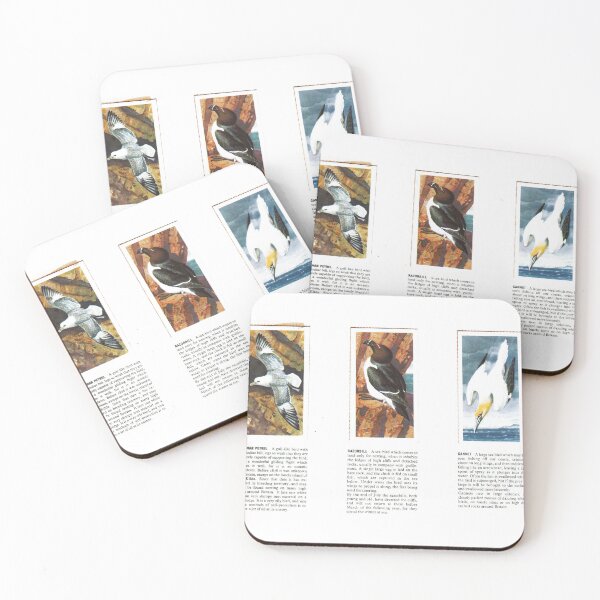 Item preview, Bird Portraits: Petrel, Razorbill, Gannet designed and sold by iamKAL.