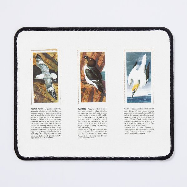 Item preview, Bird Portraits: Petrel, Razorbill, Gannet designed and sold by iamKAL.
