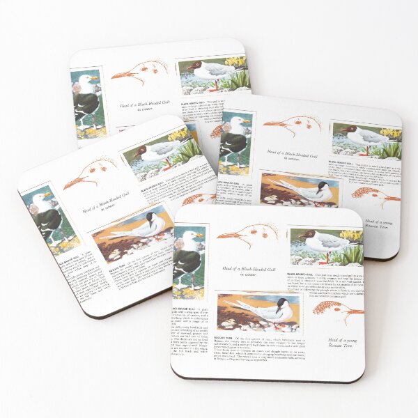 Item preview, Bird Portraits: Gulls, Tern designed and sold by iamKAL.