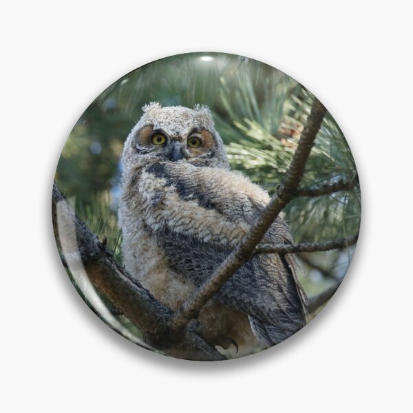 Item preview, Fluffy owlet designed and sold by locustgirl.
