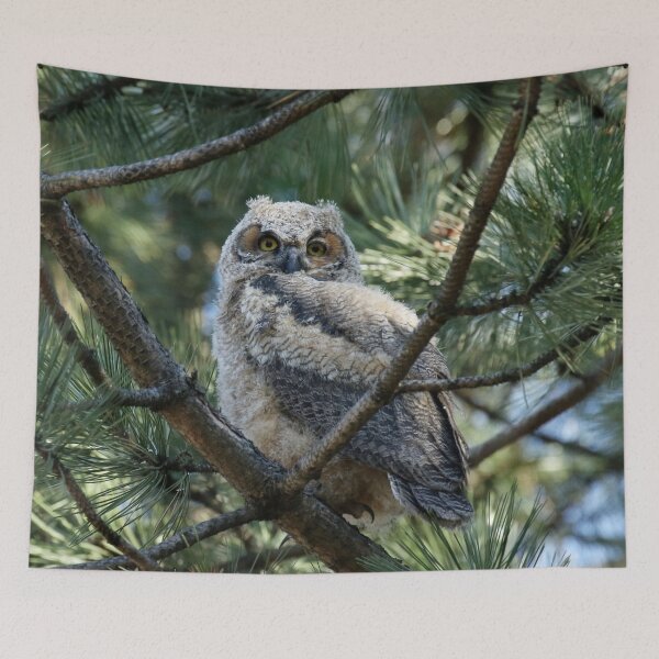 Item preview, Fluffy owlet designed and sold by locustgirl.