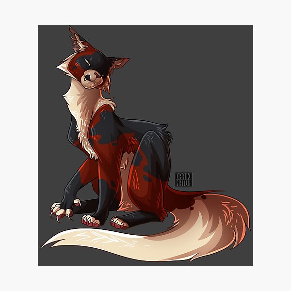 Mapleshade Photographic Print