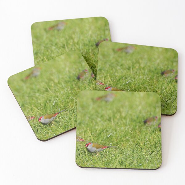 Item preview, Red Browed Finch Feeding On Wet Grass In Wangaratta designed and sold by Robbie Alexander.