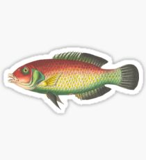 Fish Fish Fish Sticker