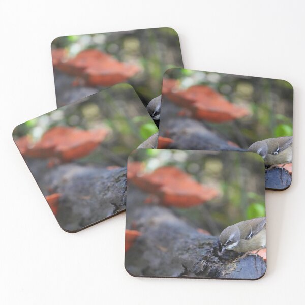 Artikelvorschau, Kleines buntes Vogelfoto entworfen und verkauft von Robbie Alexander.