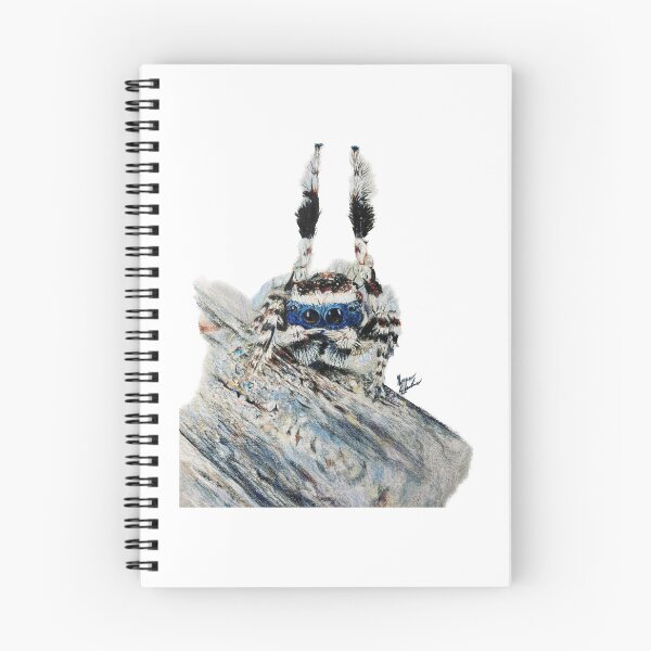Item preview, Jumping Spider designed and sold by 3separateteas.