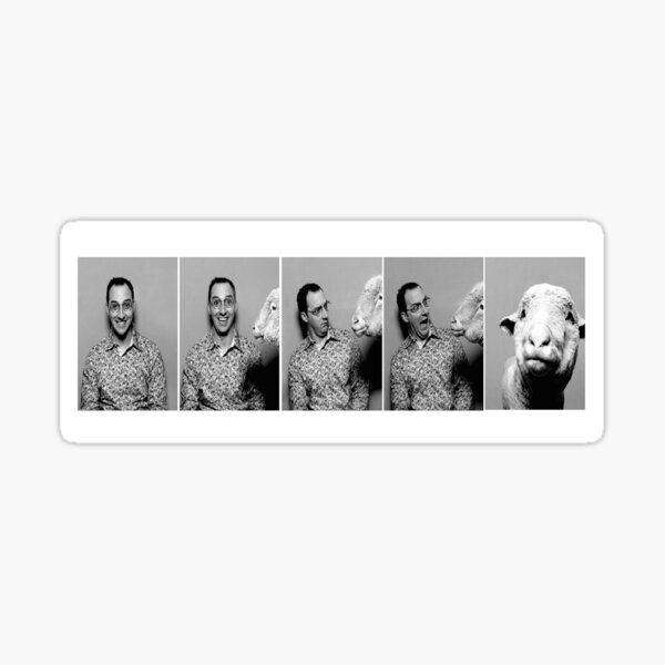 Buster and the Sheep Sticker