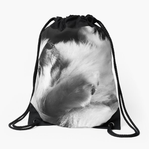 Just Love Pomeranians Drawstring Bag