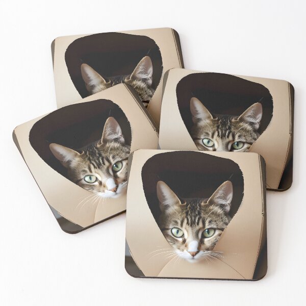 Item preview, Cat inside a box - Modern digital art designed and sold by Ai-michiart.