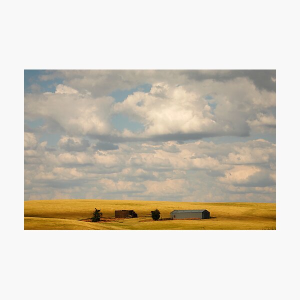 Item preview, Farmland designed and sold by Olga Zvereva.