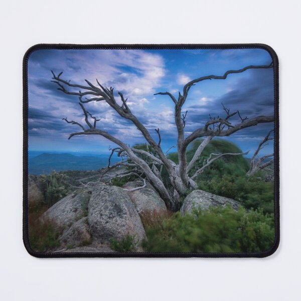 Item preview, Tentacles (Mt Buffalo) designed and sold by brightmystic.