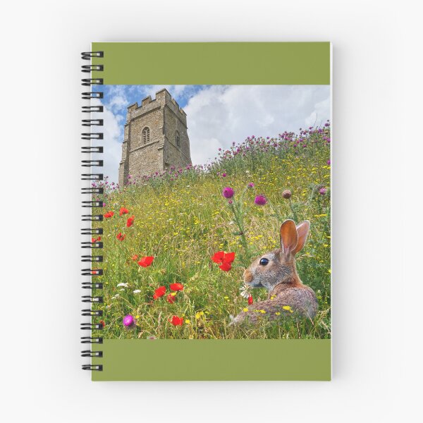 Artikelvorschau, Glastonbury Tor entworfen und verkauft von Alisonchambers2.