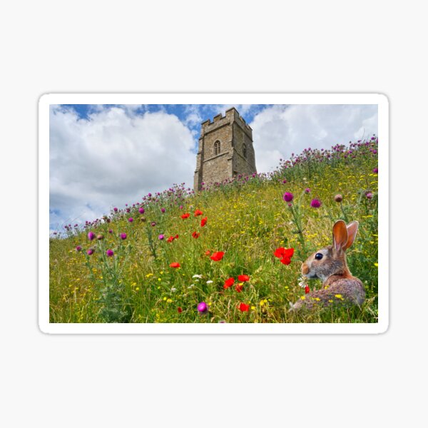 Item preview, Glastonbury Tor designed and sold by Alisonchambers2.