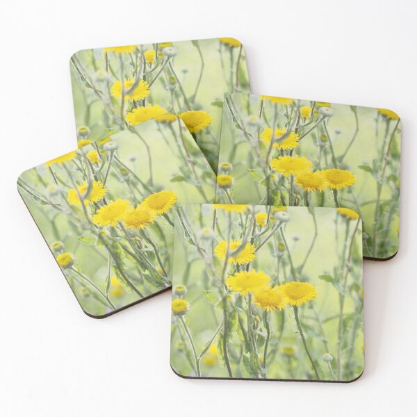 Item preview, Dreamy Wild Yellow Flowers Tranquility and Serenity nickbrayimages designed and sold by nickbrayimages.