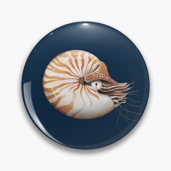Item preview, Nautilus designed and sold by Karin Taylor.