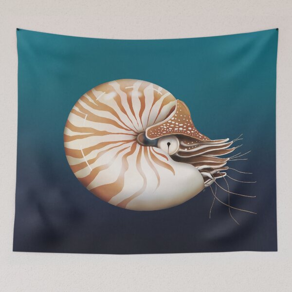 Item preview, Nautilus designed and sold by Karin Taylor.