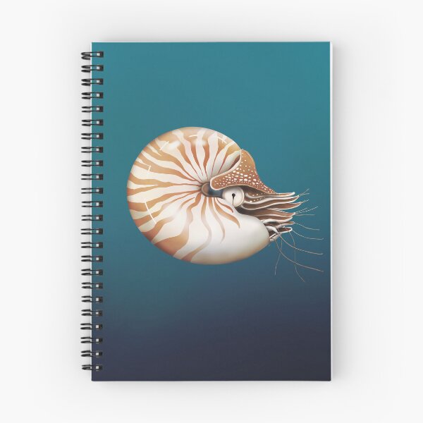 Item preview, Nautilus designed and sold by Karin Taylor.