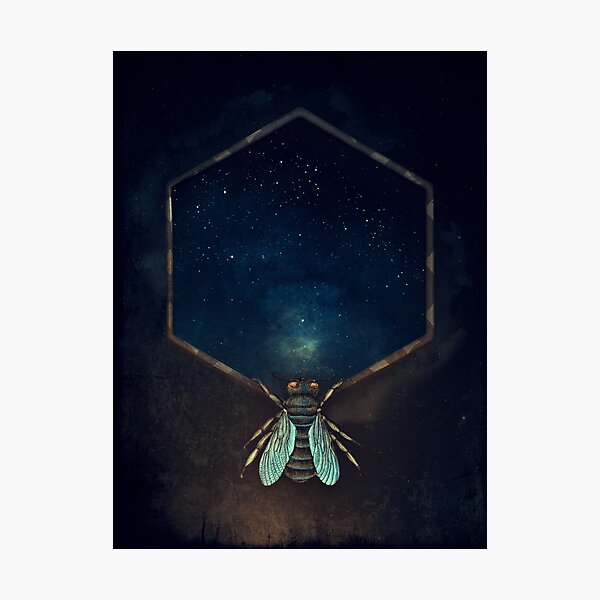 Bee Universe Photographic Print