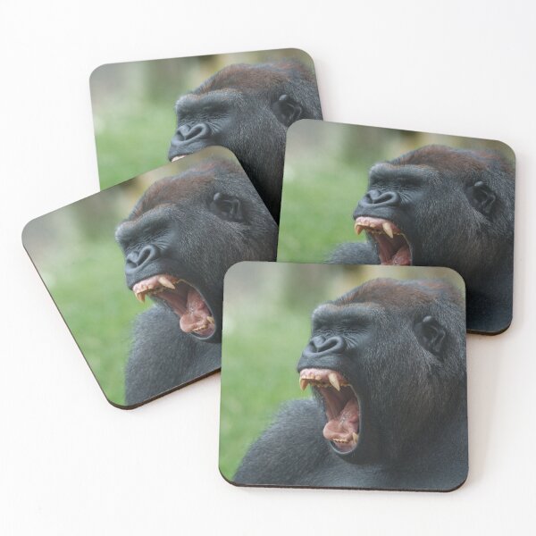 Item preview, Yawning Gorilla Baring its Impressive Canines designed and sold by rawshutterbug.